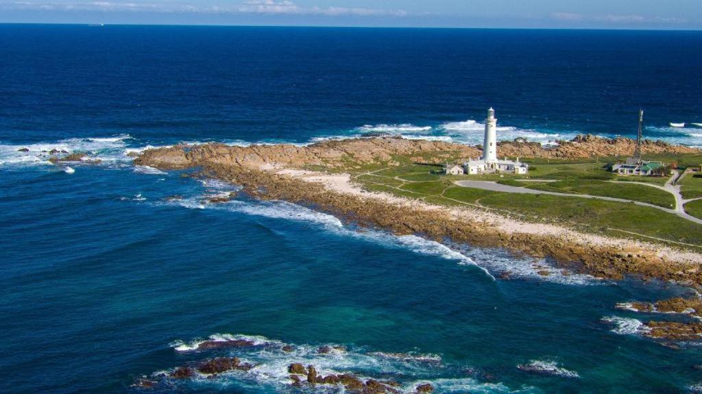 Seal Point Apartments Cape St. Francis Exteriör bild